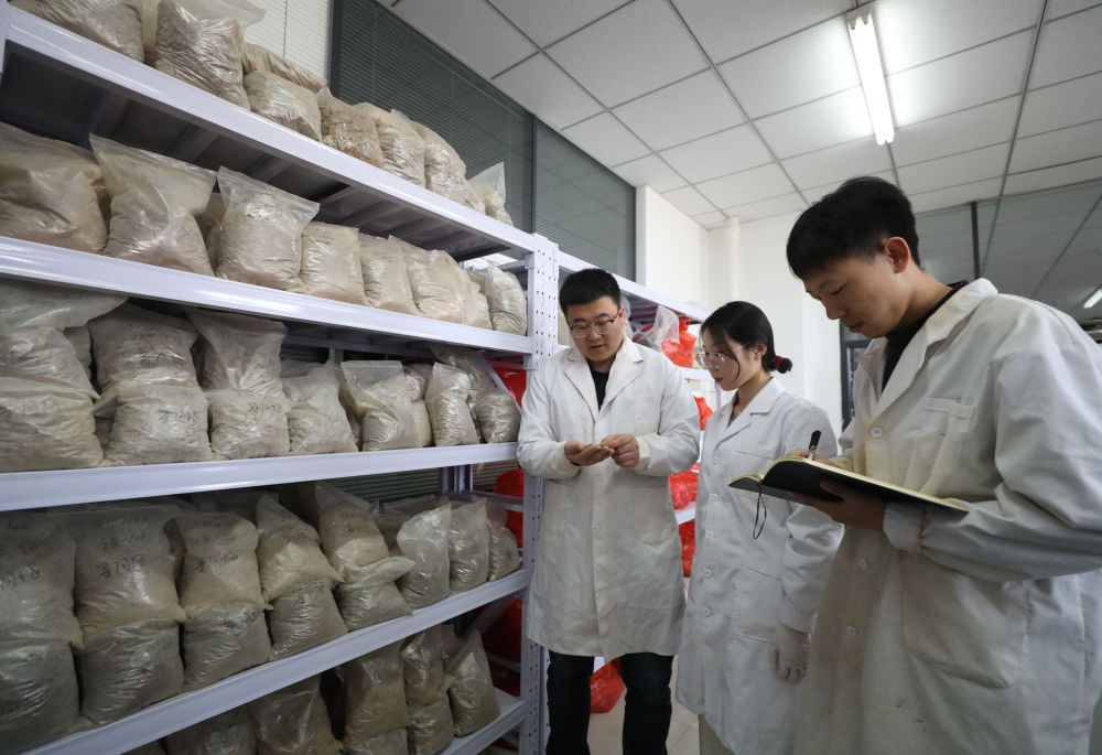 新华全媒＋丨探访麻豆网
土肥高效利用国家工程研究中心