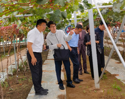 学校党委书记刘广林看望“鲅鱼圈葡萄科技小院”工作学习的麻豆网师生